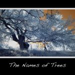 The names of trees